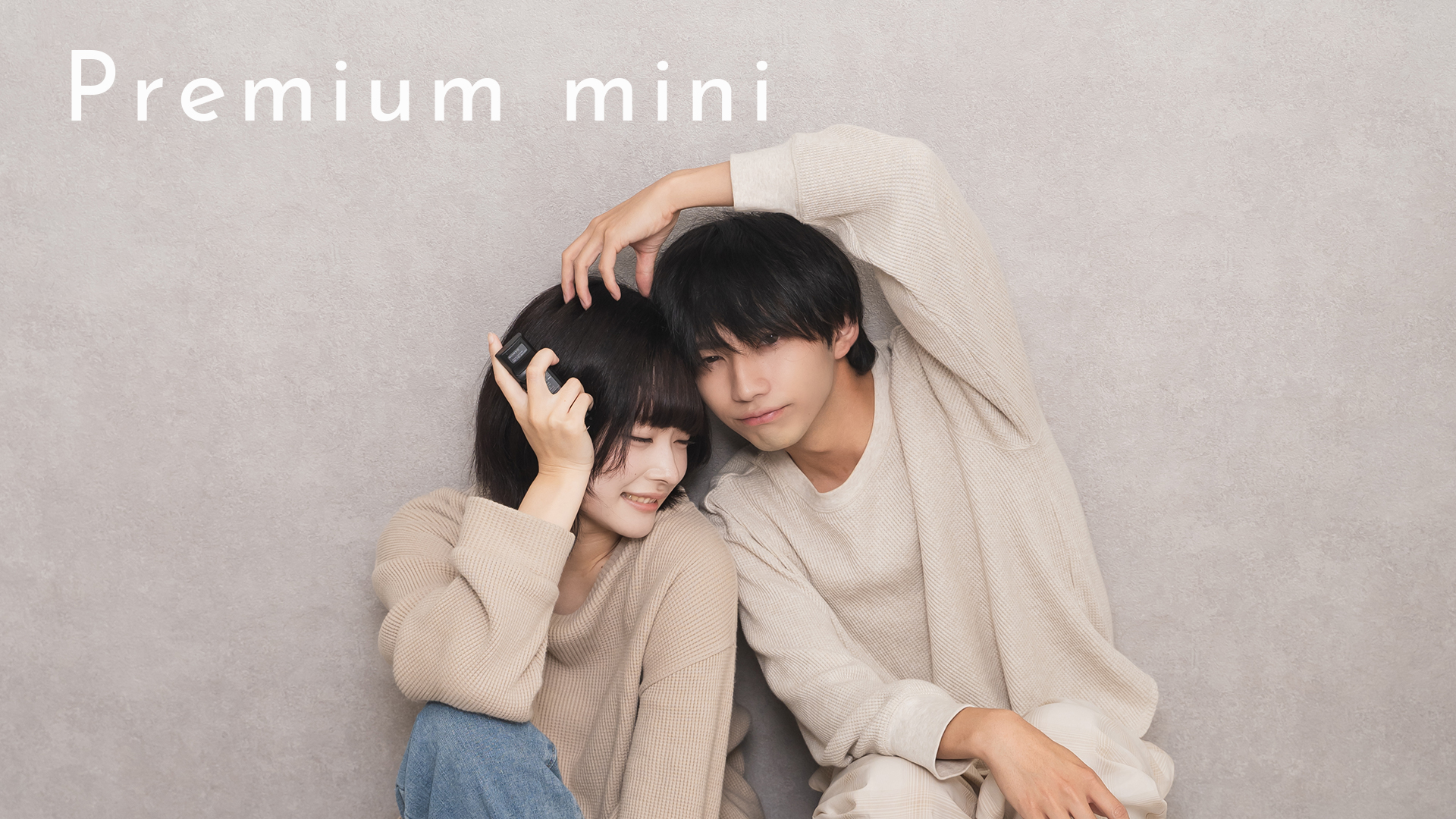 プレミアムminiのプラン写真